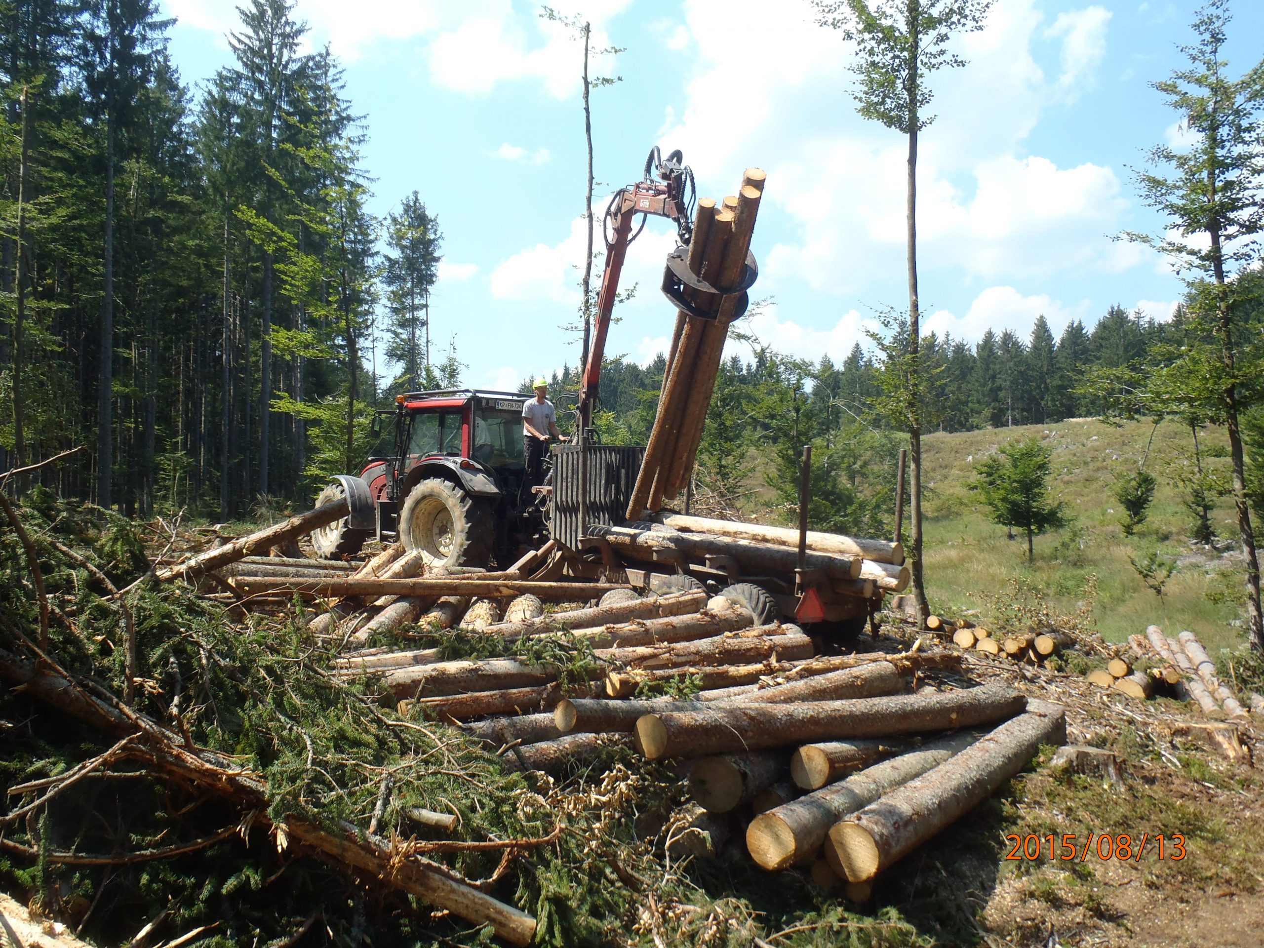 Analiza izvajanja gozdarskih del med člani strojnih krožkov